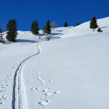 Am Waldrand 252